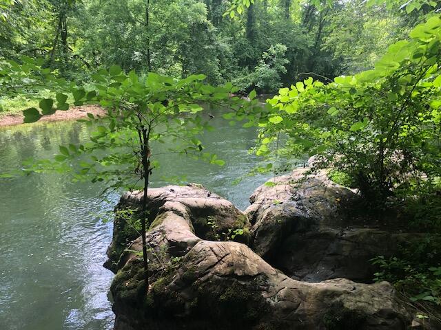 0 Copeland Road Ocoee, TN 37361 - Photo 83 of 86 ocoee 4