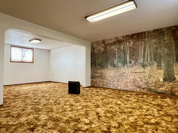 $164,000 | 509 1st Street, Bellingham, MN 56212