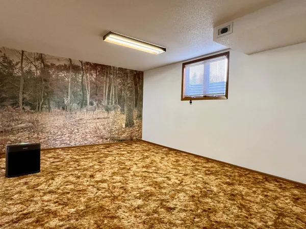 $164,000 | 509 1st Street, Bellingham, MN 56212