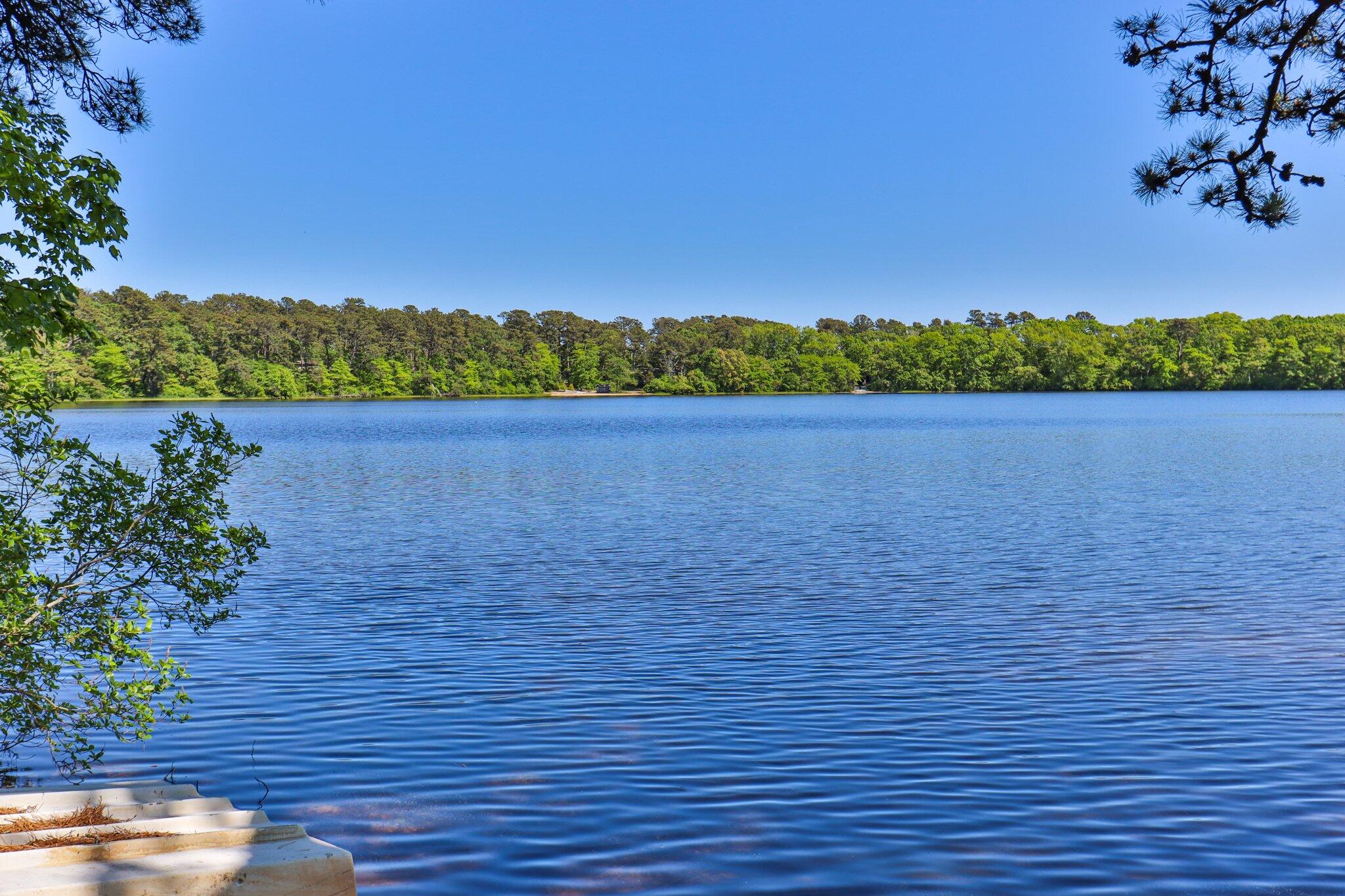 142 Old Red Top Road Brewster, MA 02631 - Photo 72 of 75 72-web-or-mls-142-old-red-top-rd