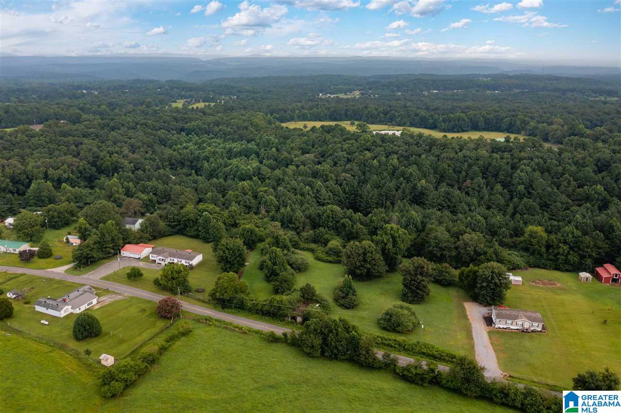373 County Road 24 Springville, AL 35146 - Photo 38 of 43