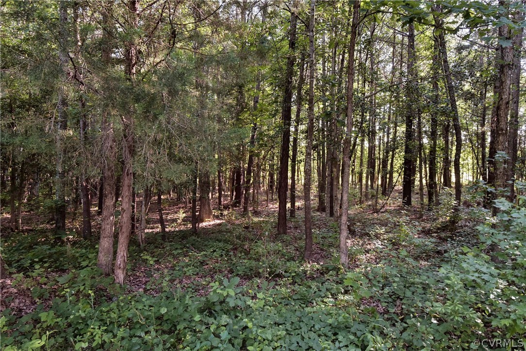 4653 Hopewell Road New Kent, VA 23124 - Photo 41 of 45 Gallery Image 41
