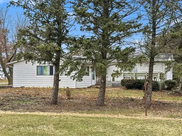 a view of a yard with a tree