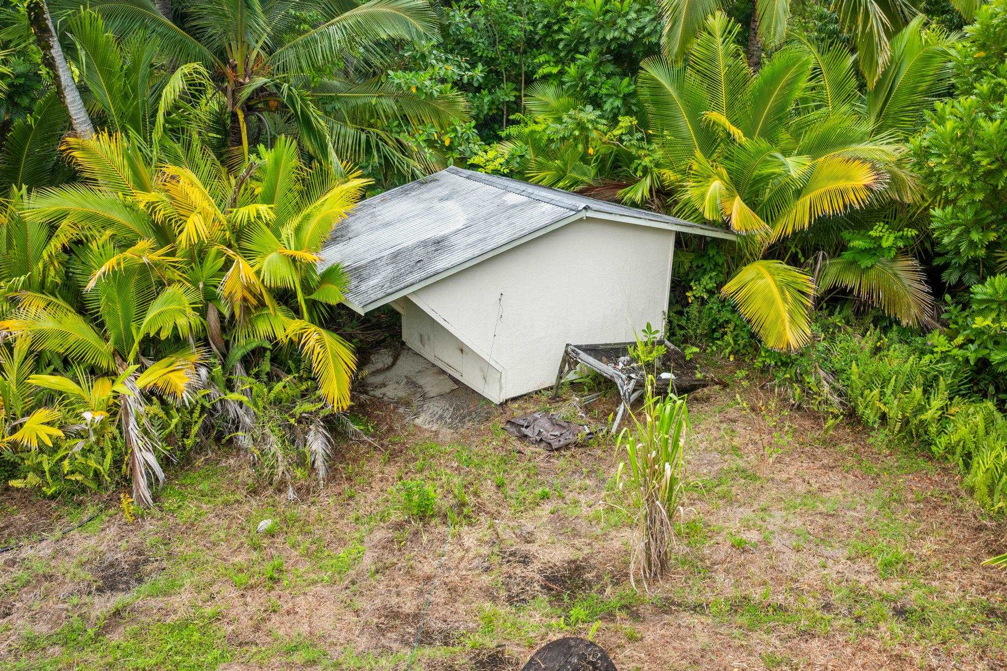 155 Uwala Road Hana, HI 96713 - Photo 36 of 41 a backyard of a house with plants and large tree