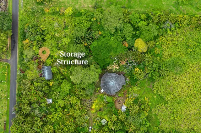 a view of a green field with lots of trees