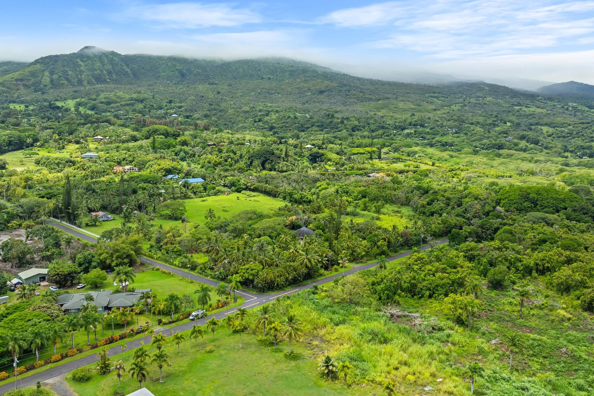 155 Uwala Road Hana, HI 96713 - Photo 39 of 41 a view of a green field with lots of trees