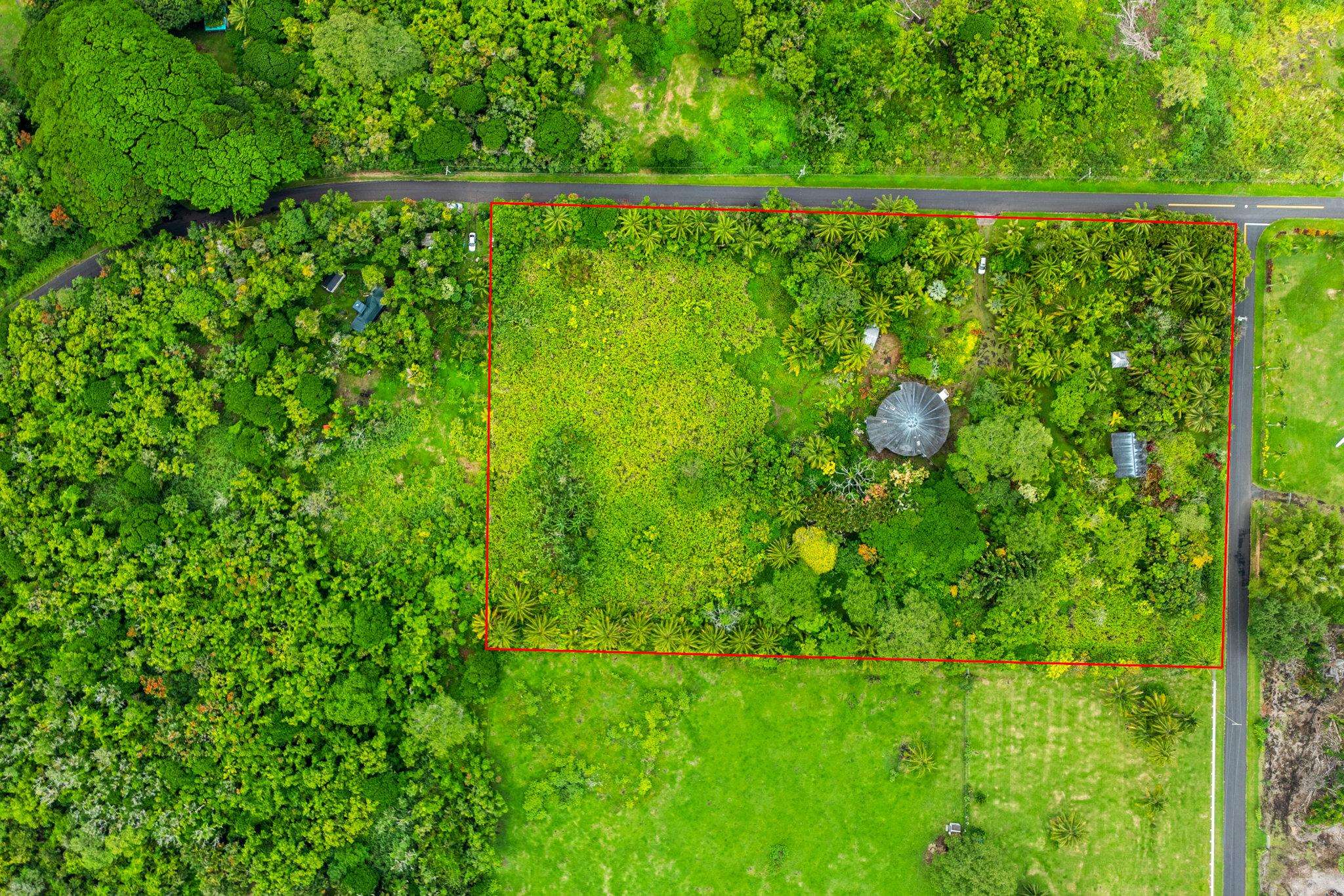 155 Uwala Road Hana, HI 96713 - Photo 41 of 41 a view of yard with green space