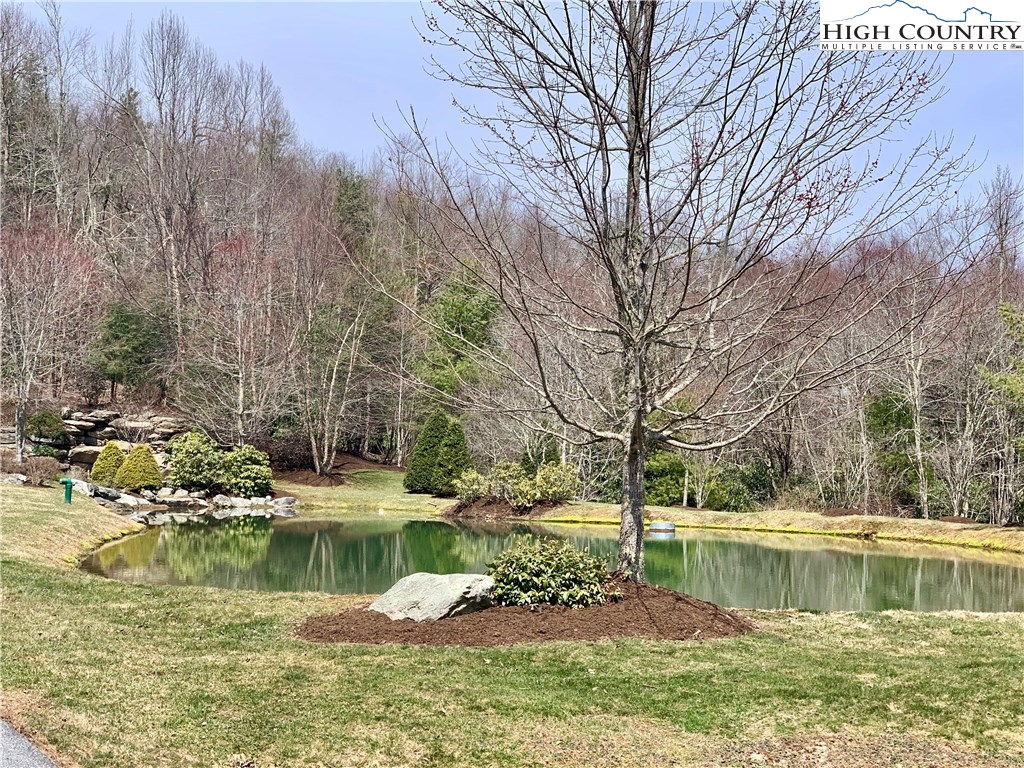 Lot#16 Ledgestone Lane Boone, NC 28607 - Photo 3 of 8 Gallery Image 3