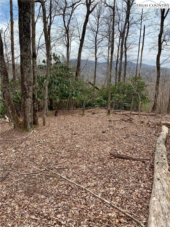 Lot#16 Ledgestone Lane Boone, NC 28607 - Photo 6 of 8 Gallery Image 6