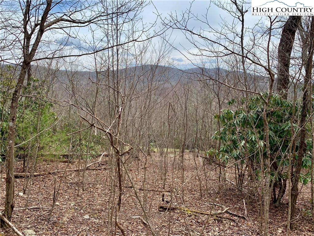 Lot#16 Ledgestone Lane Boone, NC 28607 - Photo 7 of 8 Gallery Image 7