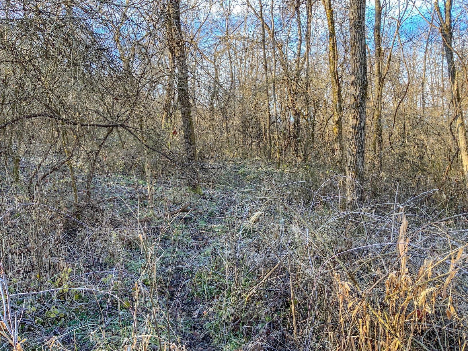 0 Rural Dale Road Chandlersville, OH 43727 - Photo 25 of 37