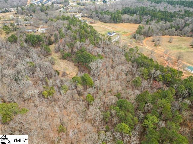 0 South Garrison Road Simpsonville, SC 29680 - Photo 6 of 8