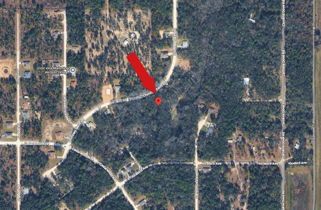 14398 Chimney Swift Road Weeki Wachee, FL 34614 - Photo 4 of 4