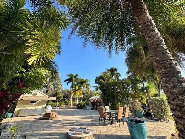 a view of a swimming pool with potted plants