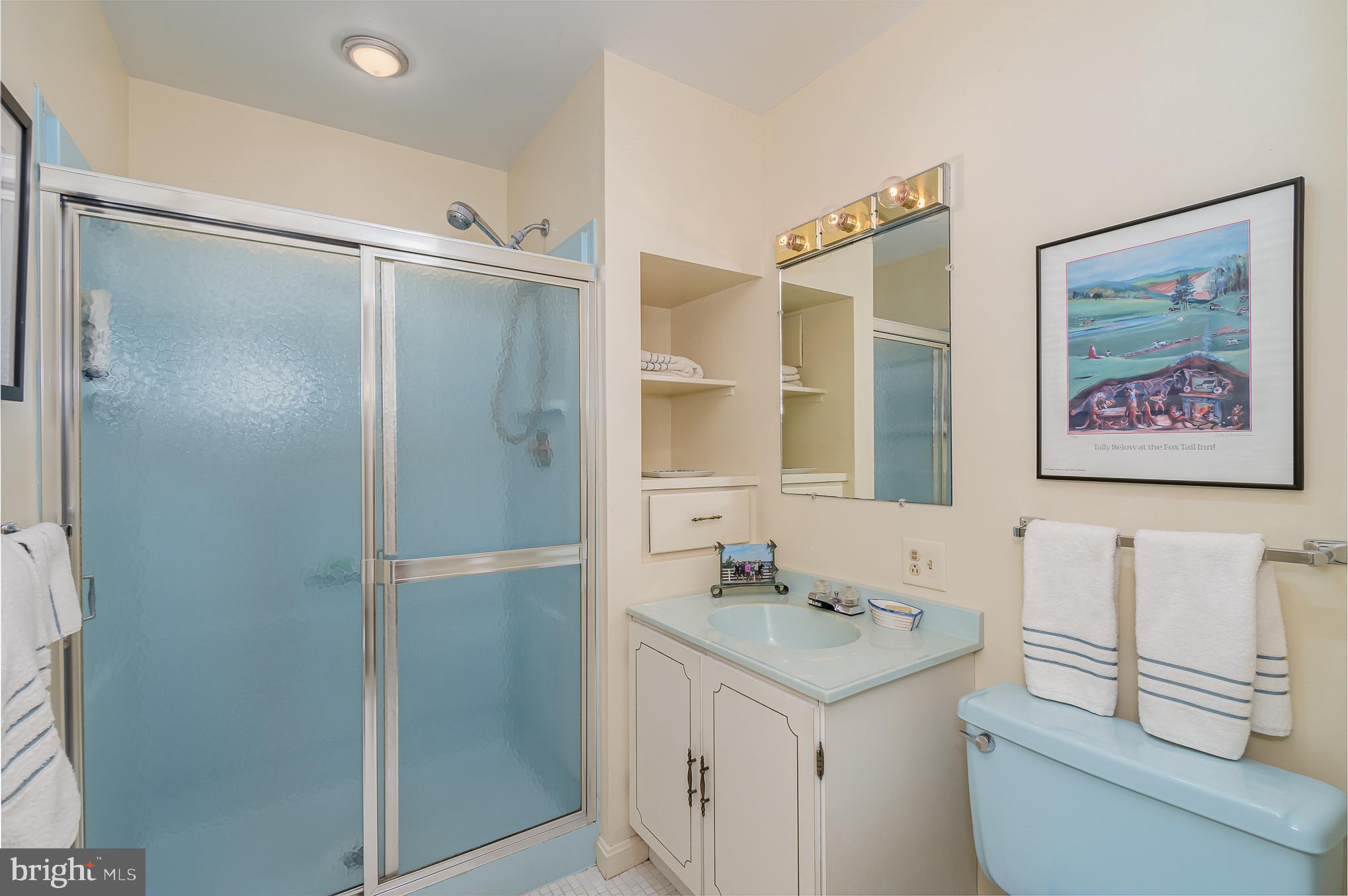 8031 Strauff Road, Unit 4 Towson, MD 21204 - Photo 27 of 36 Lower Level Bath