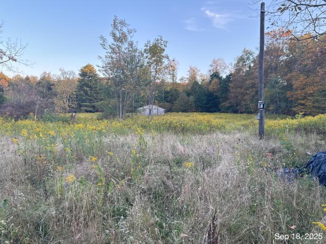 9401 State Rte 27 Pittsfield, PA 16340 - Photo 6 of 17 Gallery Image 6