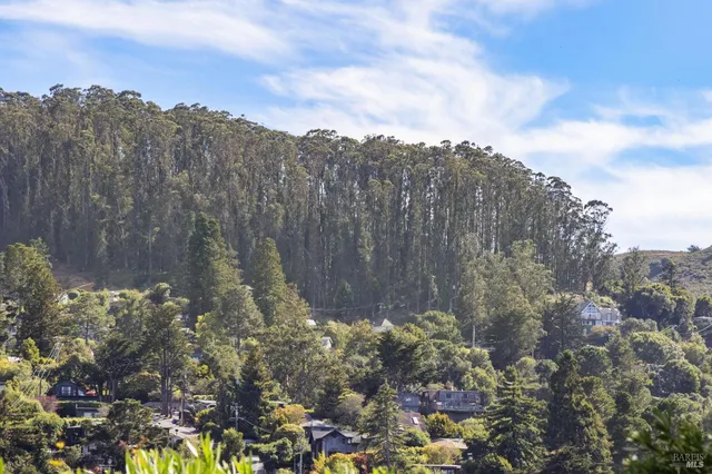 $2,495,000 | 809 Everest Court, Mill Valley, CA 94941