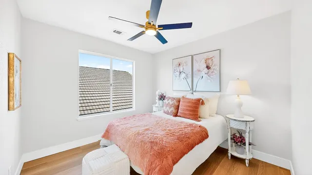 a living room with furniture a rug and a potted plant