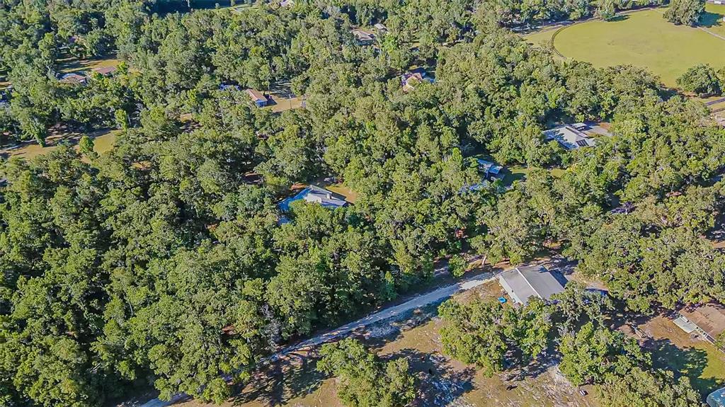 3351 Rackley Road Brooksville, FL 34604 - Photo 54 of 58