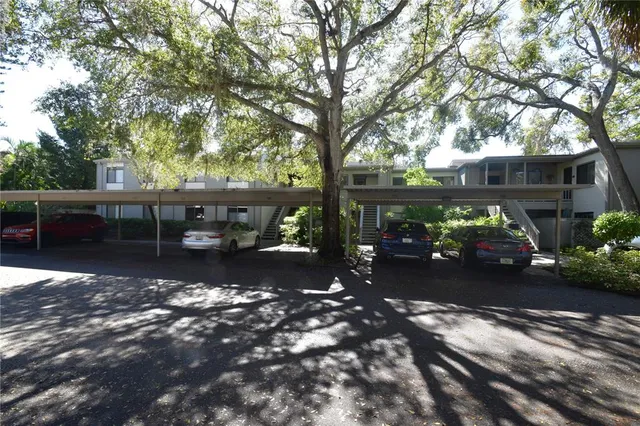 a view of a street with potted plants and large trees