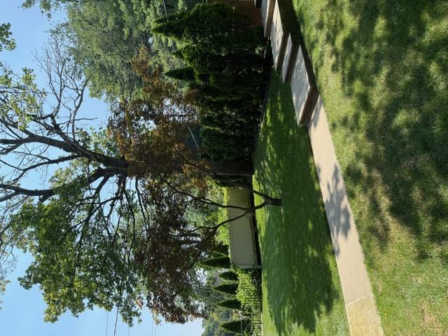 433 New Rochelle Road Bronxville, NY 10708 - Photo 31 of 41 a view of a park