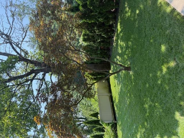 433 New Rochelle Road Bronxville, NY 10708 - Photo 32 of 41 a view of a backyard