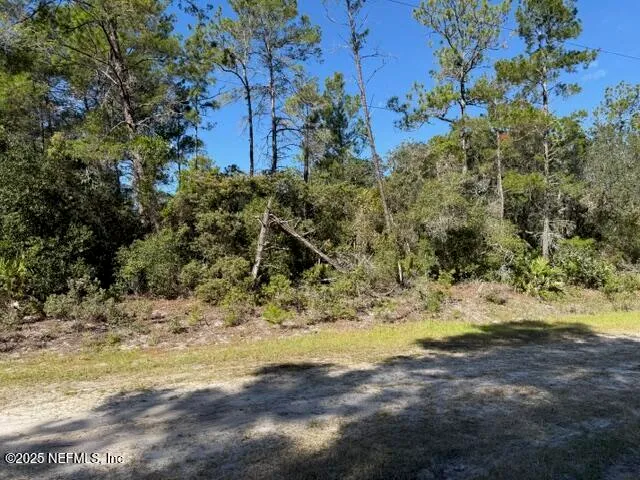 a view of a yard with trees