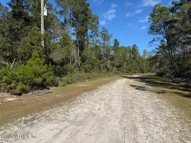 a view of a dirt road with trees
