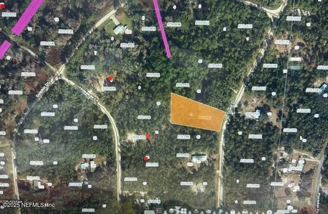 a close up of a tree in a backyard