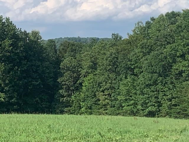 6 Police Tower Road Appomattox, VA 24522 - Photo 8 of 11 Gallery Image 8