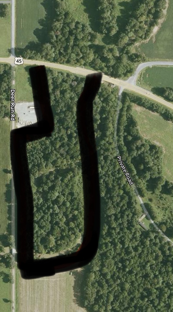 Tbd South Us 45 Road Brookport, IL 62910 - Photo 3 of 4