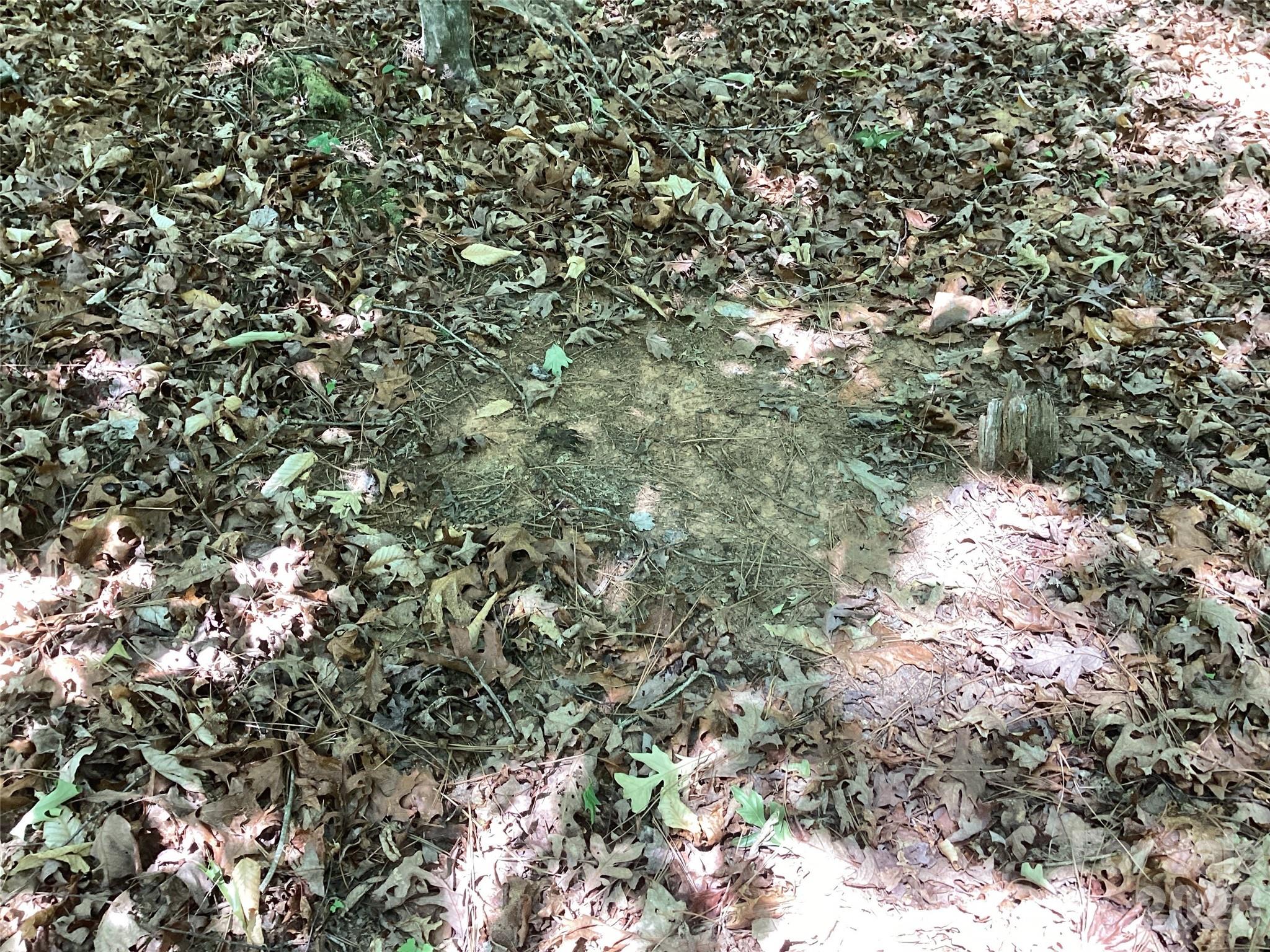 0 Powell Road Mill Spring, NC 28756 - Photo 15 of 22