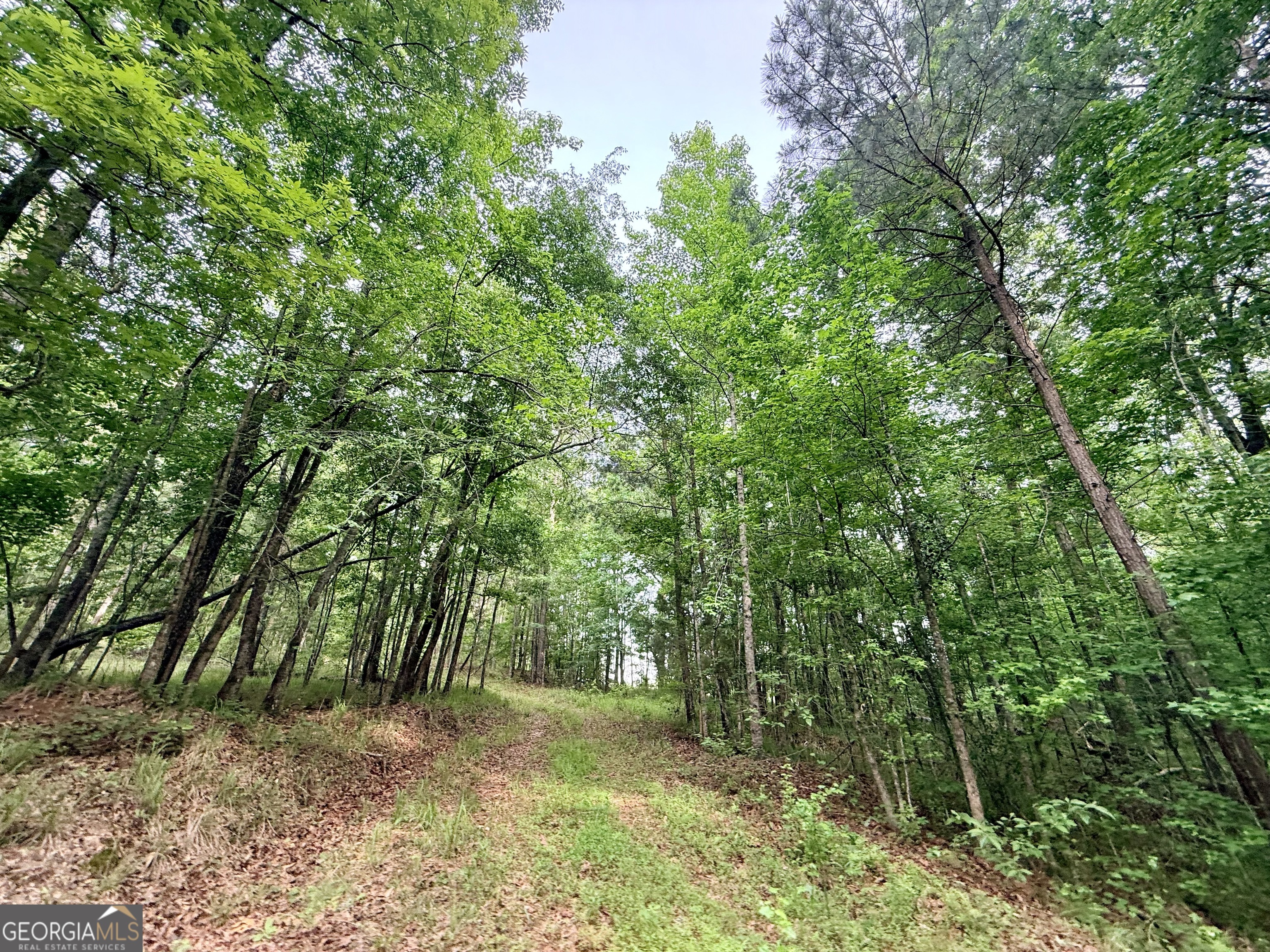 715 Fulsome Creek Road Sparta, GA 31087 - Photo 54 of 117