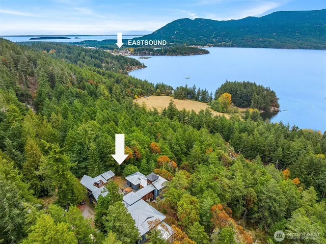 a view of a lush green field with mountains in the background