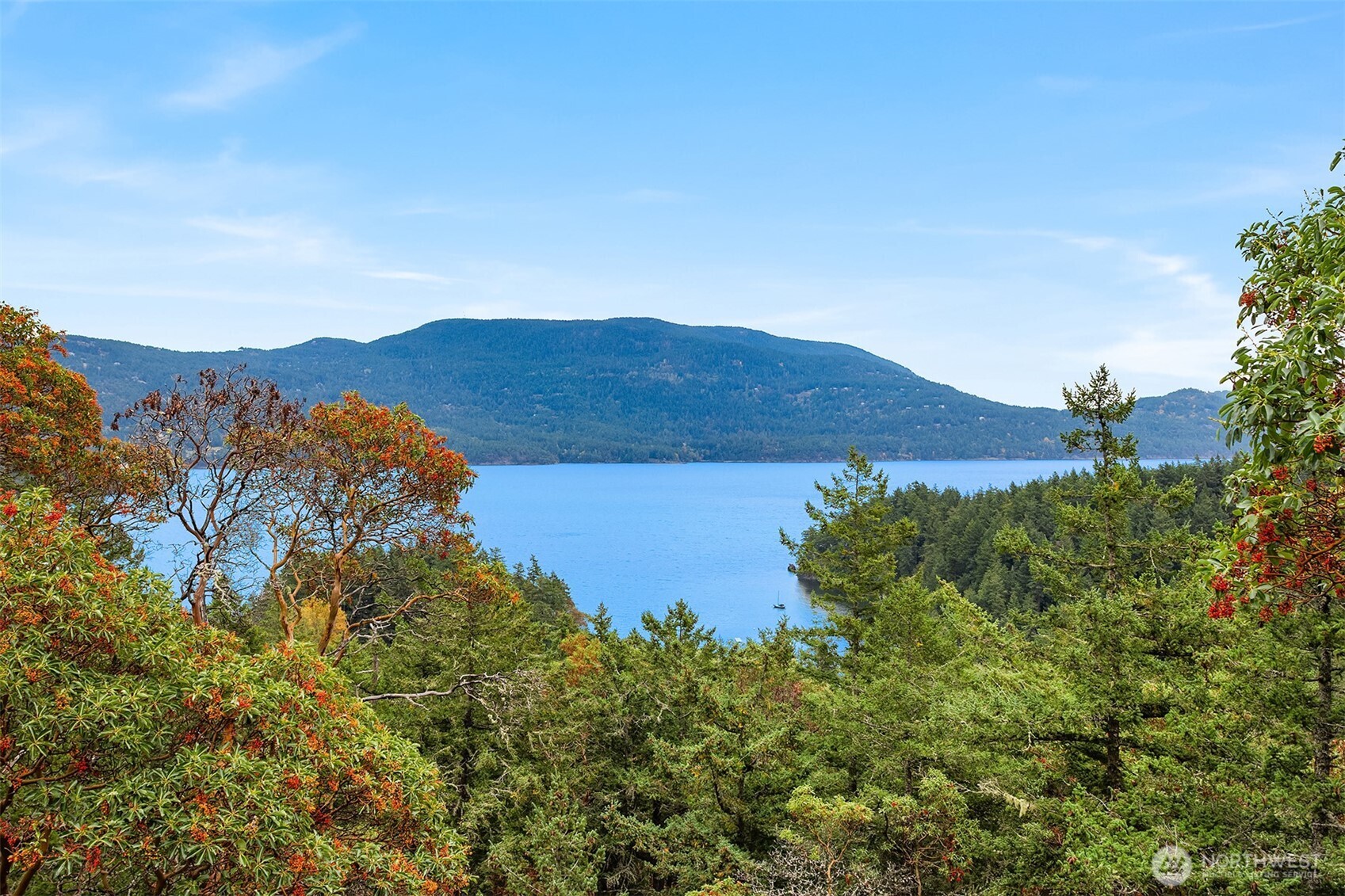 223 Blanc Road Orcas Island, WA 98245 - Photo 40 of 40 a view of a lush green field with mountains in the background
