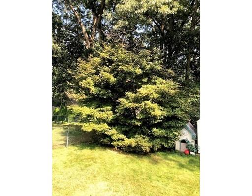80 Herrman Street West Springfield, MA 01089 - Photo 18 of 19 a view of outdoor space and trees