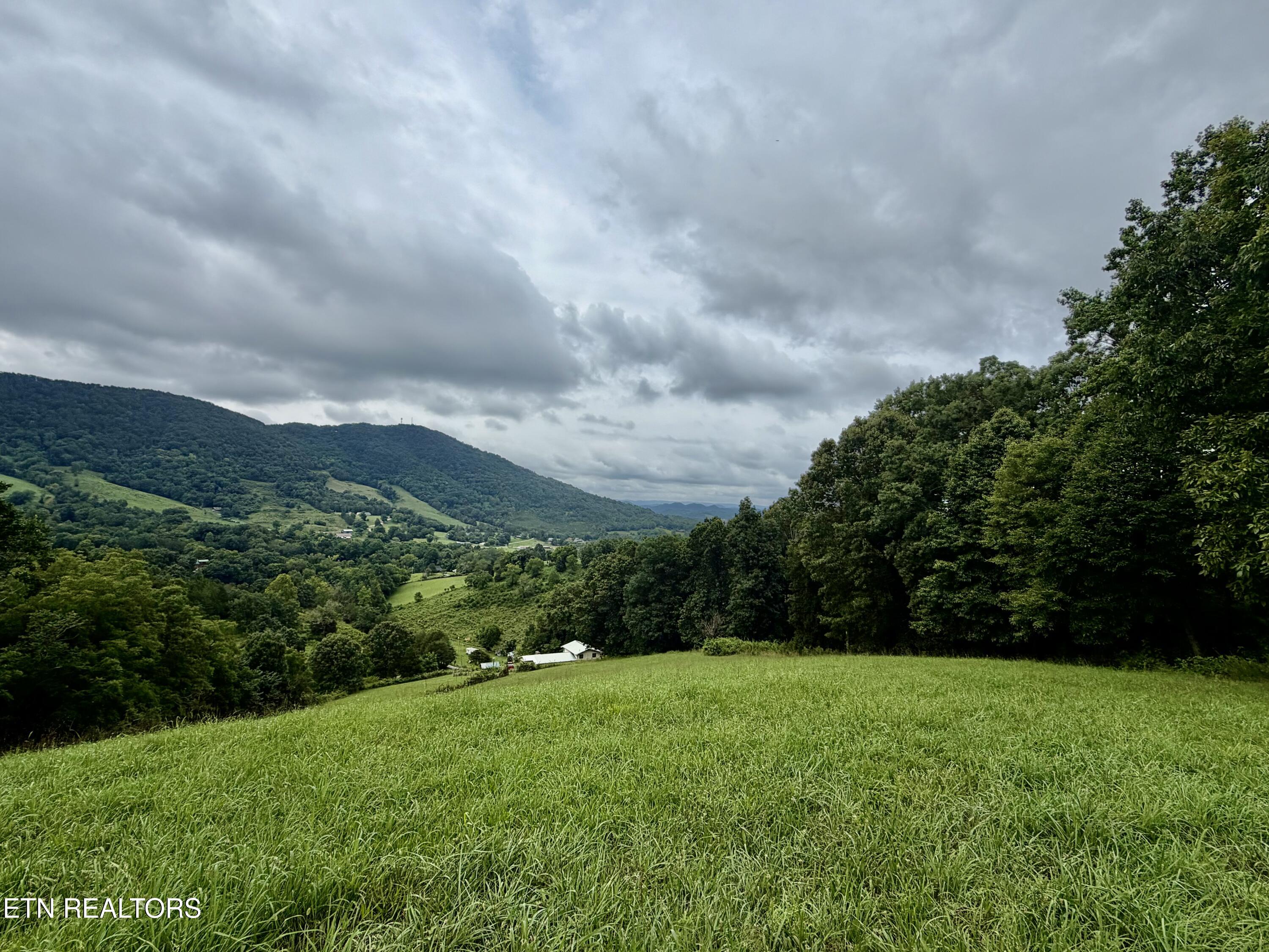 1545 Estes Road Tazewell, TN 37879 - Photo 14 of 34 IMG_5145