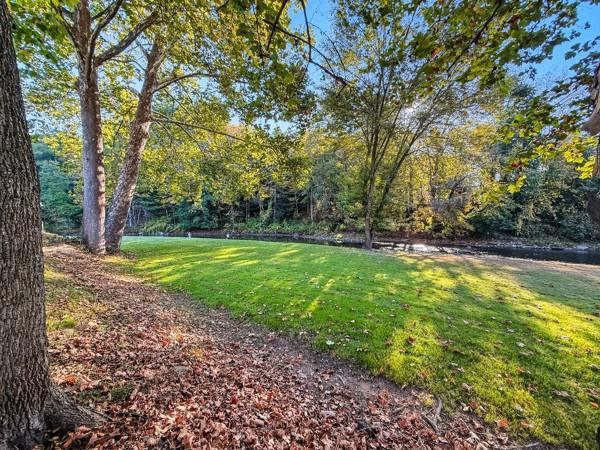 300 Main Street Volant, PA 16156 - Photo 8 of 31 a view of a yard with a trees