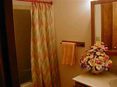 14224 North Belsay Road Millington, MI 48746 - Photo 6 of 10 20221822-5.JPG
