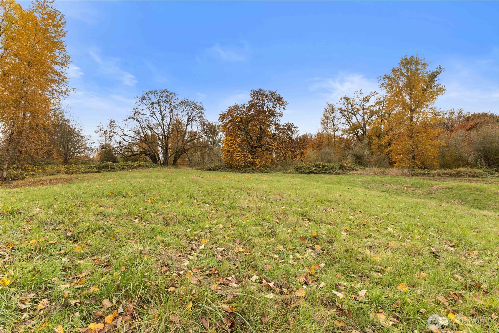 152 Old Highway 603 Chehalis, WA 98532 - Photo 21 of 25 a view of a field with an trees in the background