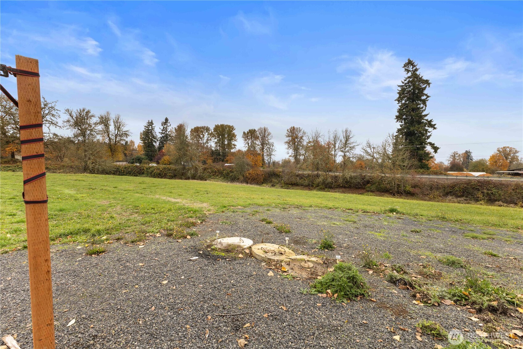 152 Old Highway 603 Chehalis, WA 98532 - Photo 9 of 25 a view of a field with an trees