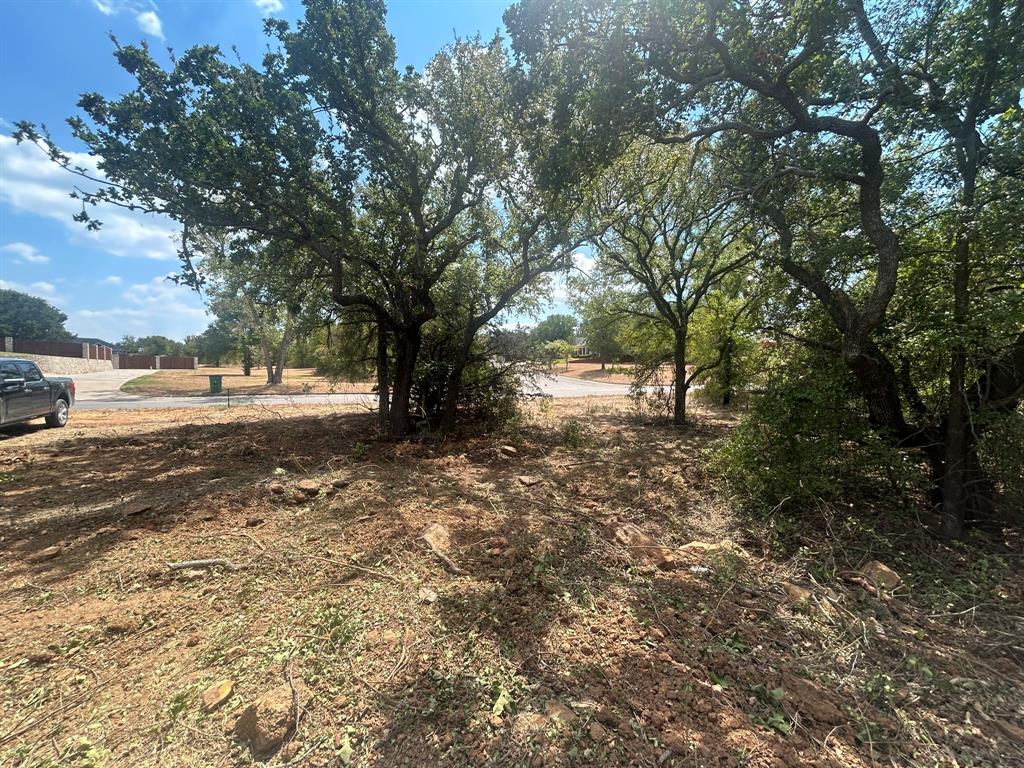 1414 Normandy Drive Graham, TX 76450 - Photo 2 of 5 a view of dirt yard with a tree
