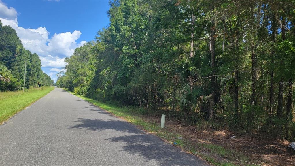 24 Northeast 90th Street Road Fort McCoy, FL 32134 - Photo 1 of 1