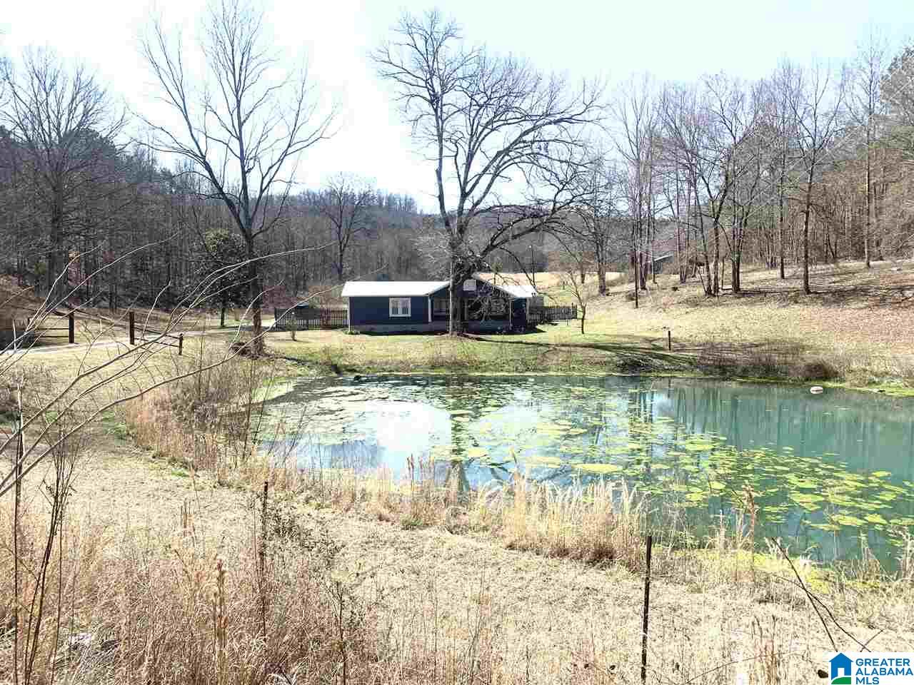9302 Co Road Ashville, AL 35953 - Photo 2 of 4