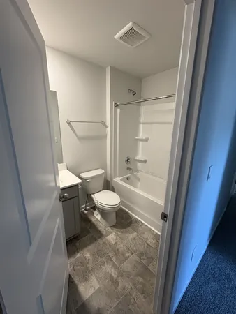 a bathroom with a sink and a toilet
