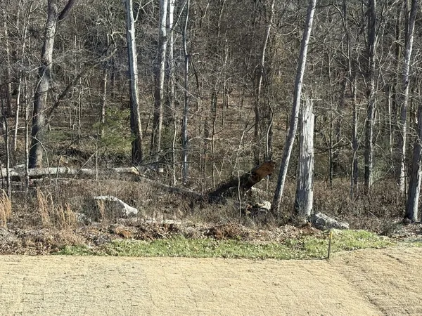 a view of house with snow on the road