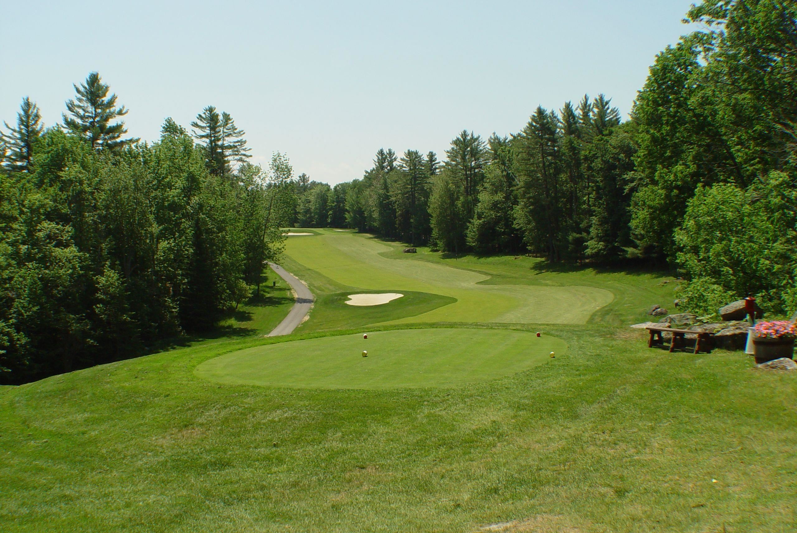 14 Oak Lane Grantham, NH 03753 - Photo 5 of 16