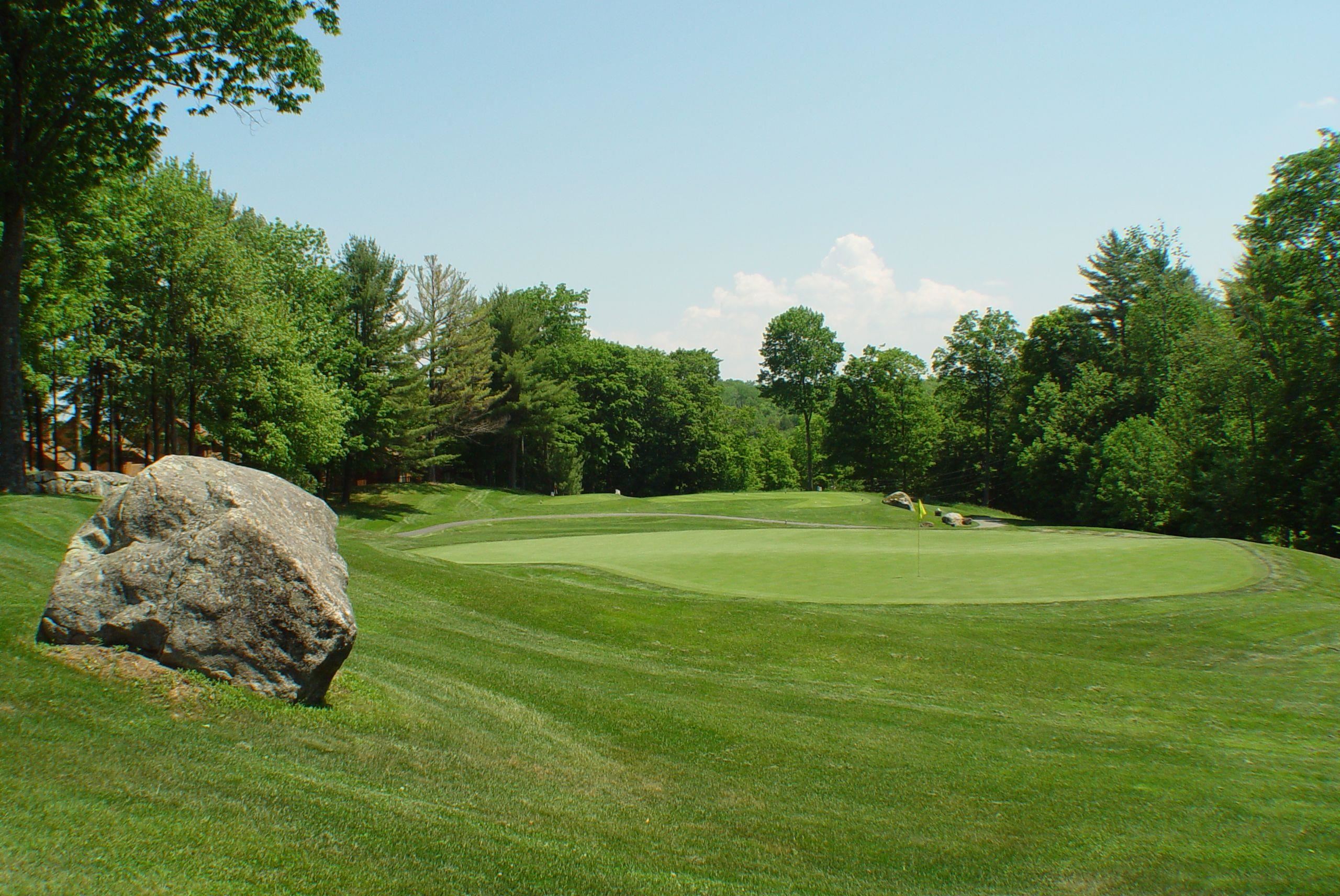 14 Oak Lane Grantham, NH 03753 - Photo 6 of 16