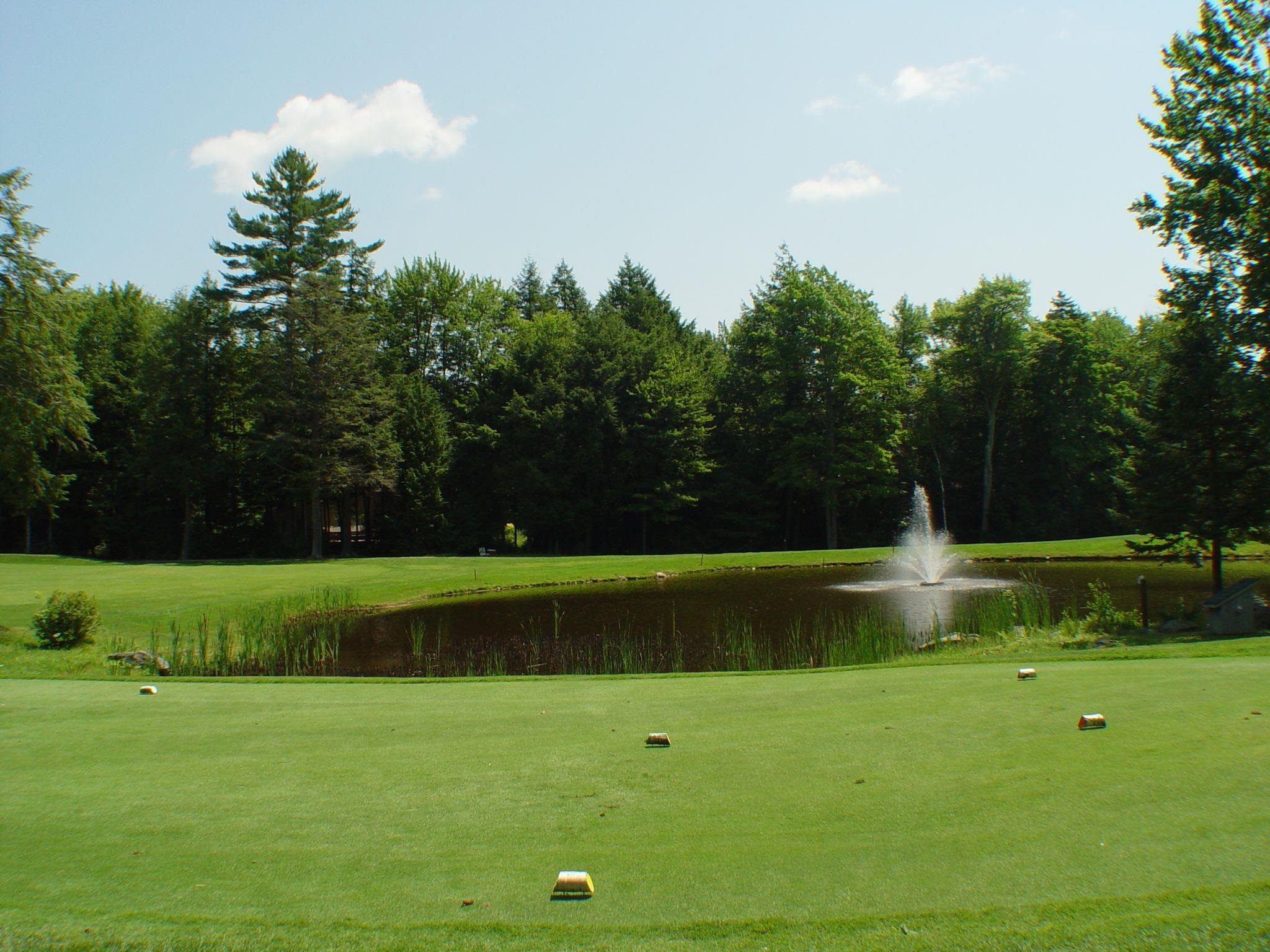 14 Oak Lane Grantham, NH 03753 - Photo 7 of 16