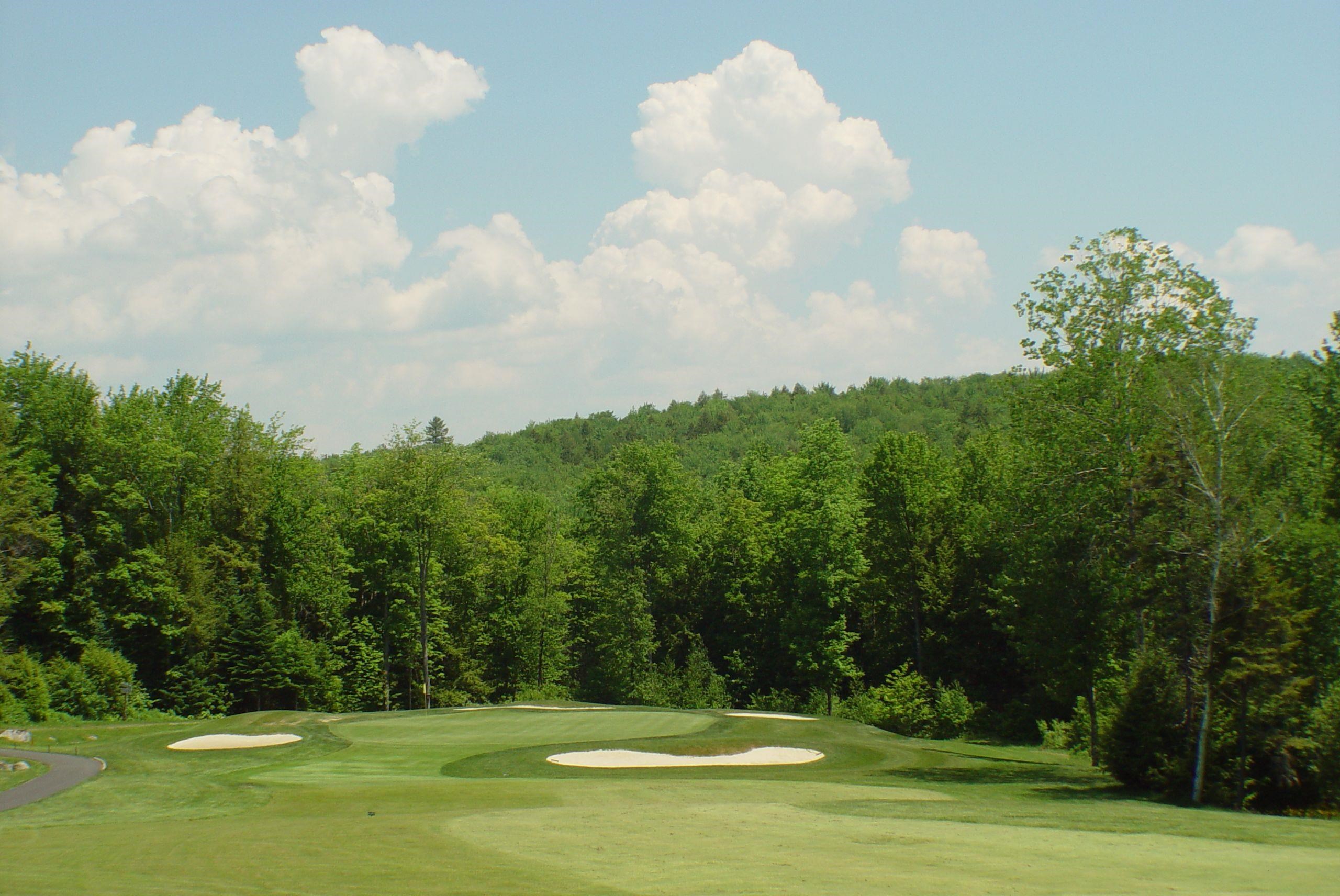 14 Oak Lane Grantham, NH 03753 - Photo 8 of 16